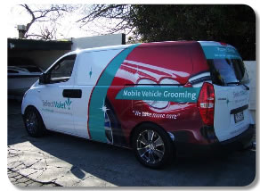 Select Cleaning Car